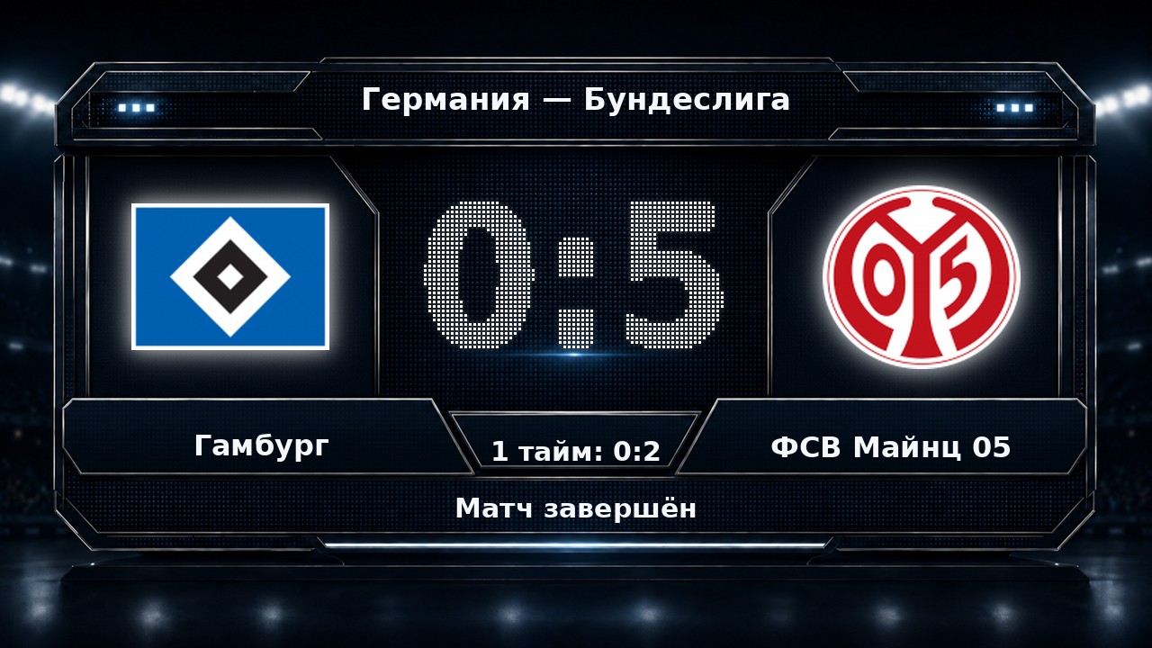 Гамбург — ФСВ Майнц 05: результат матча